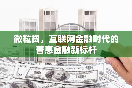 上犹微粒贷，互联网金融时代的普惠金融新标杆