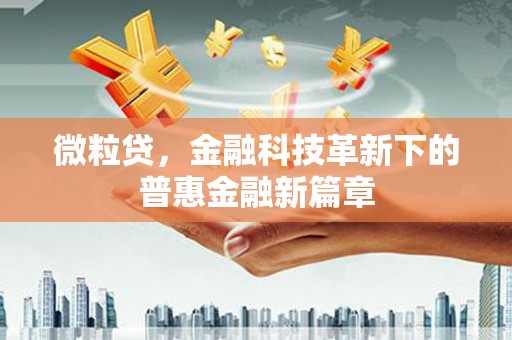 上犹微粒贷，金融科技革新下的普惠金融新篇章