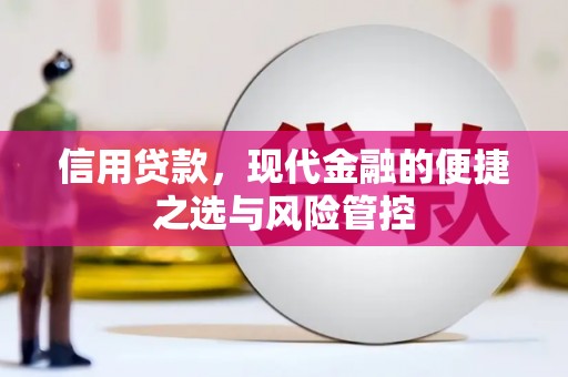 上犹信用贷款，现代金融的便捷之选与风险管控