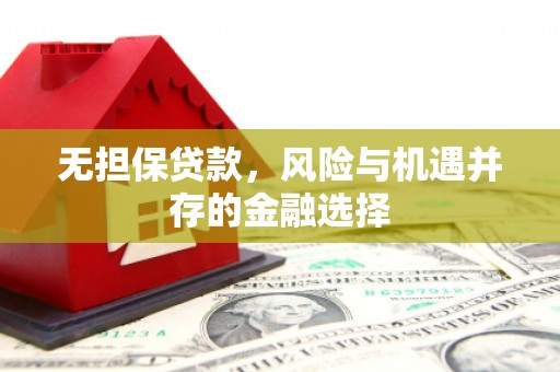 上犹无担保贷款，风险与机遇并存的金融选择