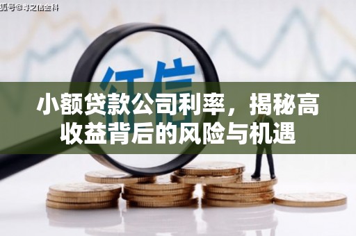上犹小额贷款公司利率，揭秘高收益背后的风险与机遇