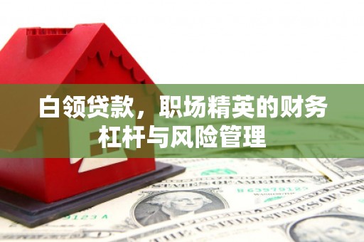 上犹白领贷款，职场精英的财务杠杆与风险管理