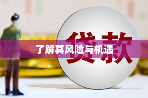 上犹了解其风险与机遇