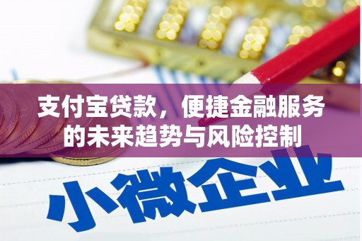 上犹支付宝贷款，便捷金融服务的未来趋势与风险控制