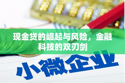 上犹现金贷的崛起与风险，金融科技的双刃剑