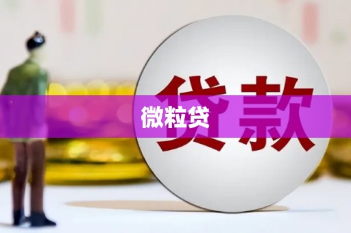 上犹微粒贷