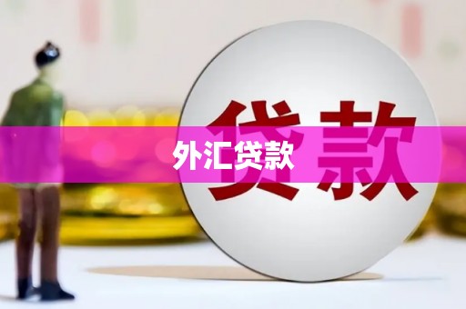 上犹外汇贷款