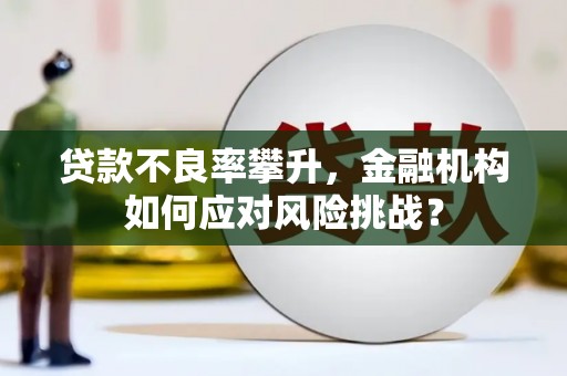 上犹贷款不良率攀升，金融机构如何应对风险挑战？