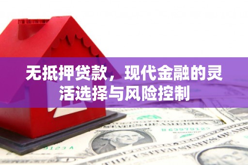 上犹无抵押贷款，现代金融的灵活选择与风险控制