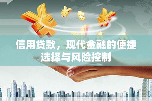 上犹信用贷款，现代金融的便捷选择与风险控制