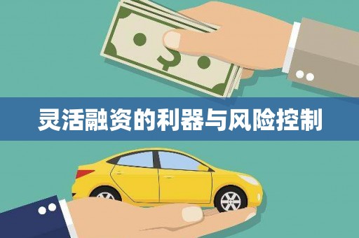 上犹灵活融资的利器与风险控制