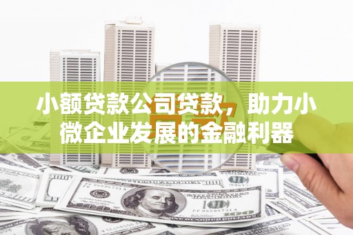 上犹小额贷款公司贷款，助力小微企业发展的金融利器