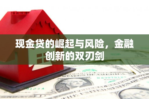 上犹现金贷的崛起与风险，金融创新的双刃剑
