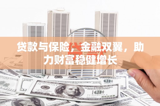 上犹贷款与保险，金融双翼，助力财富稳健增长