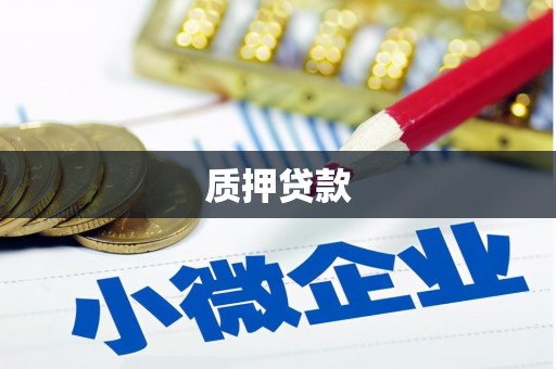 上犹质押贷款