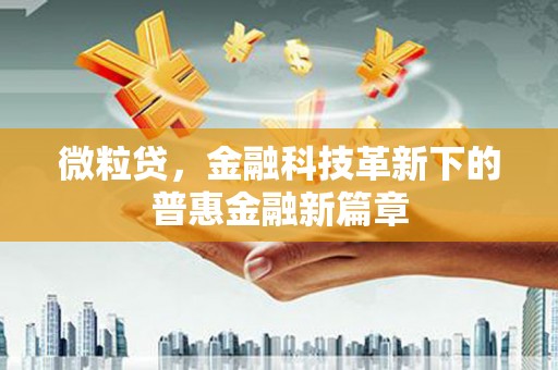 上犹微粒贷，金融科技革新下的普惠金融新篇章