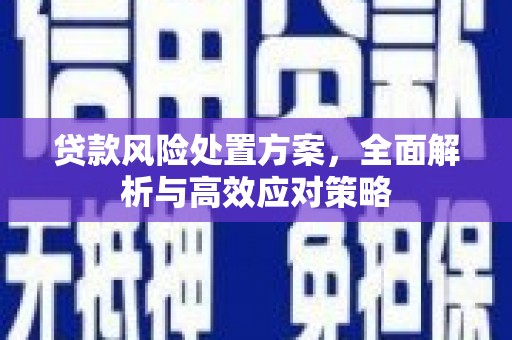 上犹贷款风险处置方案，全面解析与高效应对策略