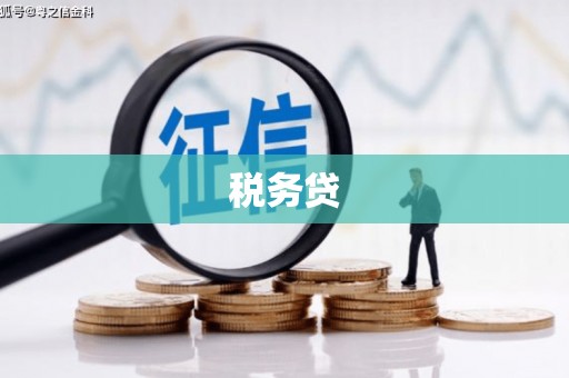 上犹税务贷