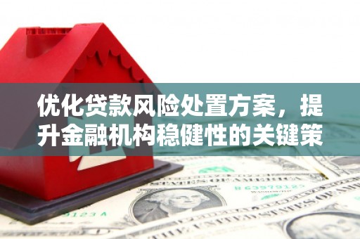 上犹优化贷款风险处置方案，提升金融机构稳健性的关键策略