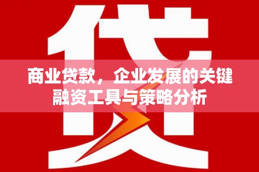 上犹商业贷款，企业发展的关键融资工具与策略分析