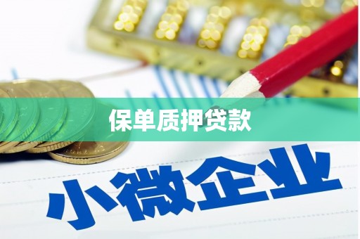 上犹保单质押贷款