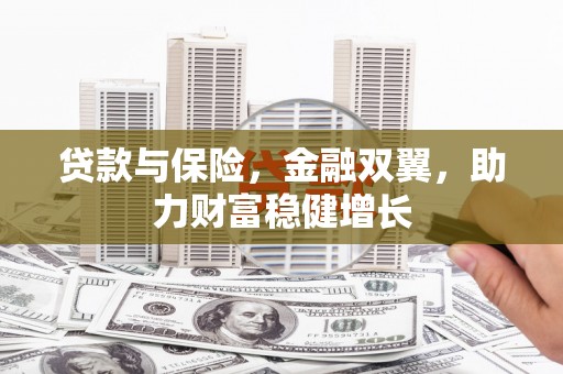 上犹贷款与保险，金融双翼，助力财富稳健增长