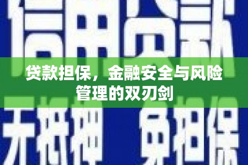 上犹贷款担保，金融安全与风险管理的双刃剑