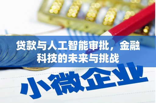 上犹贷款与人工智能审批，金融科技的未来与挑战