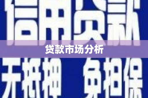 上犹贷款市场分析