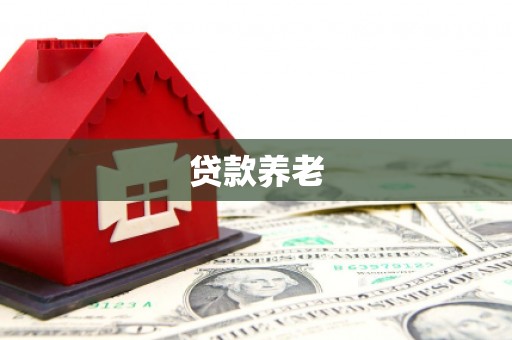 上犹贷款养老