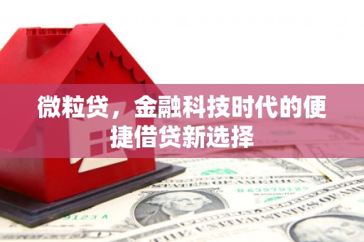 上犹微粒贷，金融科技时代的便捷借贷新选择