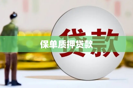 上犹保单质押贷款