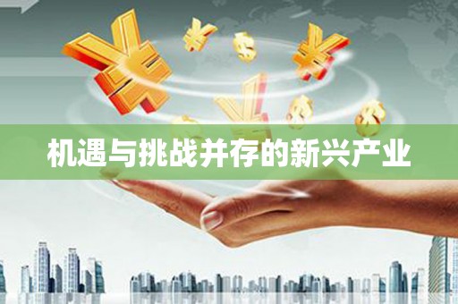 上犹机遇与挑战并存的新兴产业