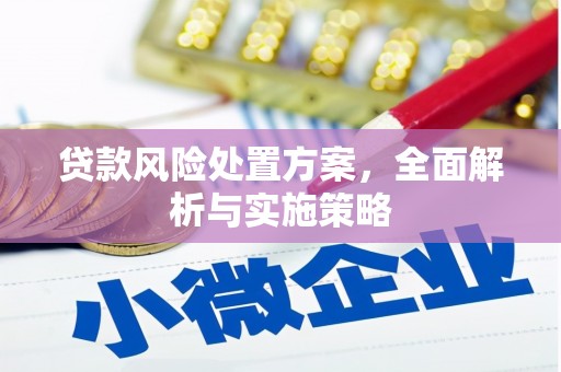 上犹贷款风险处置方案，全面解析与实施策略