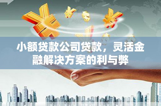 上犹小额贷款公司贷款，灵活金融解决方案的利与弊